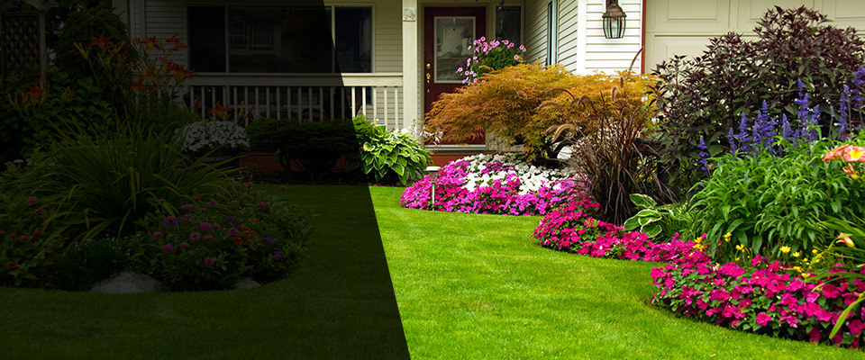 Carroll Landscapers