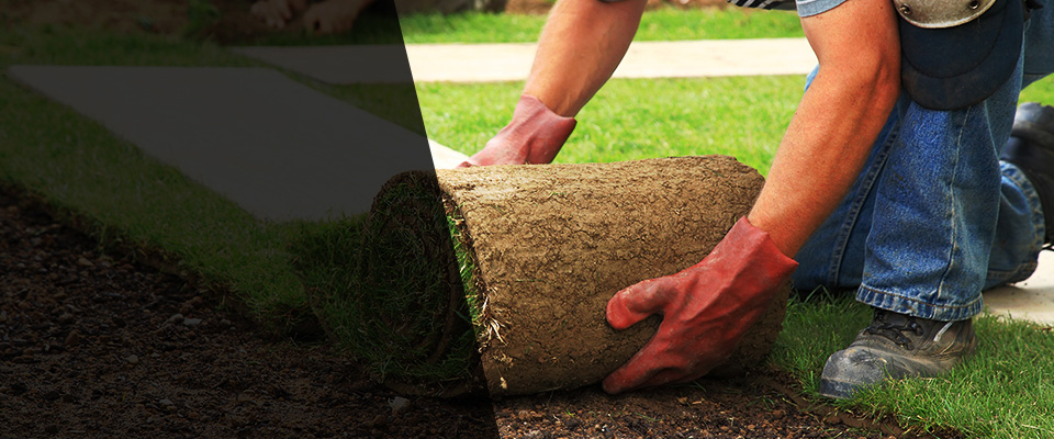 Carroll Landscapers